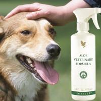FOREVER FORMULE ANIMALE
